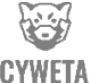 Logo Cyweta